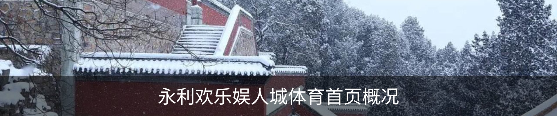 永利欢乐娱人城体育首页概况