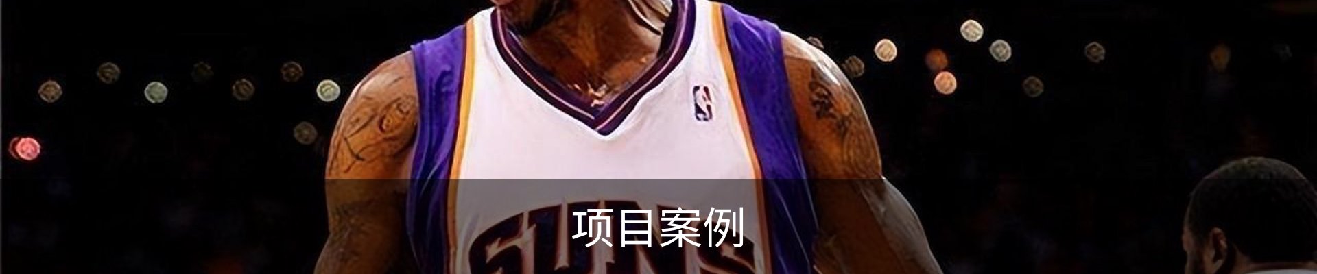 项目案例